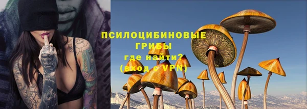 марки nbome Белокуриха