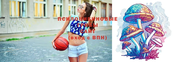 марки nbome Белокуриха