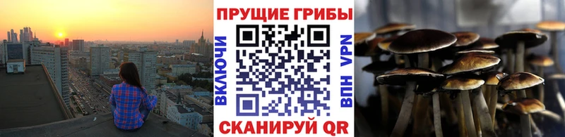 Псилоцибиновые грибы мухоморы  Купить закладки  Артёмовск 